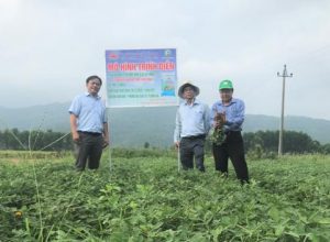 Sản xuất nông nghiệp và thích ứng với biến đổi khí hậu – Kết quả nghiên cứu, xây dựng mô hình chuyển đổi cơ cấu cây trồng trên đất lúa thiếu nước, kém hiệu quả tại Phú Yên – Đề xuất một số vấn đề