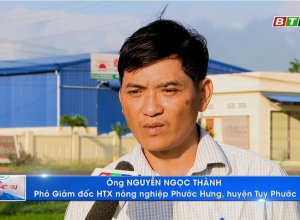 Mặt Trời Mới góp phần trong xây dựng nông thôn mới tại Phước Hưng – Tuy Phước – Bình Định