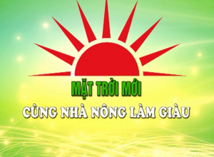 Mặt Trời Mới Cùng Nhà Nông Làm Giàu – Chăm sóc cây cà phê giai đoạn nuôi trái non