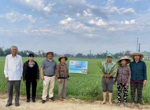 💥💥 Thăm mô hình trình diễn phân bón thế hệ mới trên cây lúa tại xã Phước Hưng và Phước Thắng – Bình Định