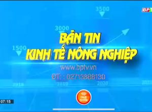 ♻♻♻💥 Lợi ích kép từ phân bón Mặt Trời Mới công nghệ Eco-nanomix – “Lợi công lao động và tiết kiệm chi phí “