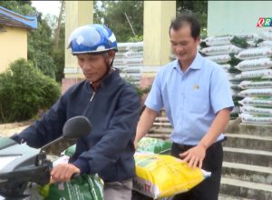 💥💥💥Đảm bảo cung ứng đủ phân bón Mặt Trời Mới vụ Đông Xuân 2023 – 2024 tại Quảng Nam