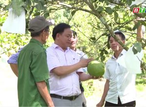 💥💥💥🤝🤝🤝Liên kết ‘4 nhà’ để phát triển sản xuất cây ăn quả ở địa bàn trung du miền núi