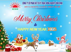 💖MERRY CHRISTMAS & HAPPY NEW YEAR 2025💖