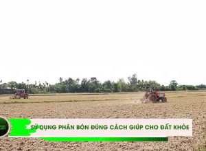 💥✔ Sử dụng phân bón đúng cách giúp cho đất khoẻ