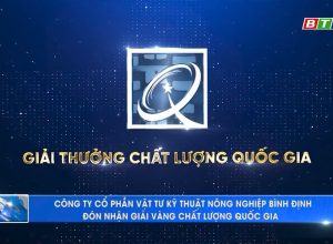 🎇💥Công ty CP Vật tư Kỹ thuật Nông nghiệp Bình Định nhận giải vàng chất lượng quốc gia