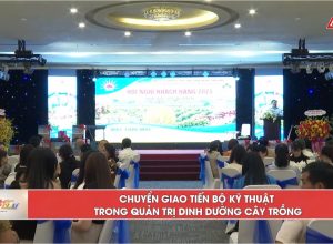 💥💥Chuyển giao tiến bộ kỹ thuật trong quản trị dinh dưỡng cây trồng