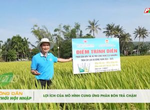 🤝💥Lợi ích của mô hình cung ứng phân bón trả chậm