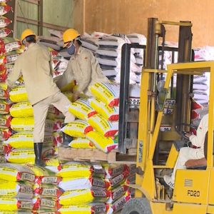 Công ty CP Vật tư kỹ thuật nông nghiệp Bình Định: Tín hiệu vui từ chuyển đổi sở hữu