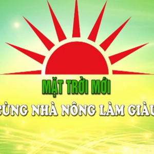 Mặt Trời Mới Cùng Nhà Nông Làm Giàu – Chăm sóc cây cà phê giai đoạn nuôi trái