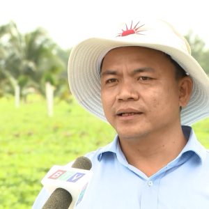 Phân bón Mặt Trời Mới  đồng hành với người nông dân trong sản xuất nông nghiệp mùa nắng hạn