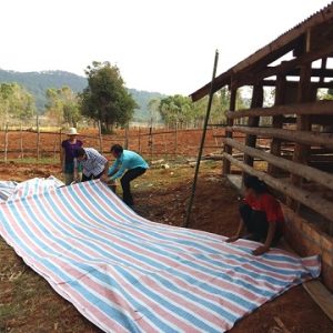 Phòng chống dịch bệnh cho vật nuôi trong mùa mưa bão