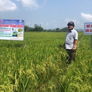 Kết quả xây dựng mô hình trình diễn phân bón NPK Mặt Trời Mới chuyên dùng cho cây lúa vụ Đông Xuân 2020 – 2021 tại Huyện Đồng Xuân – Phú Yên