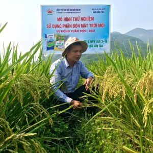 Kết quả xây dựng mô hình trình diễn phân bón NPK Mặt Trời Mới chuyên dùng cho cây lúa vụ Đông Xuân 2020 – 2021 tại Ân Hảo Tây – Hoài Ân – Bình Định