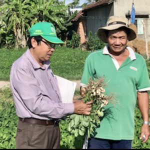 Kết quả xây dựng mô hình trình diễn phân bón NPK Mặt Trời Mới chuyên dùng cho cây Lạc vụ Đông Xuân 2020 – 2021 tại xã Bình Thuận, Huyện Tây Sơn, Tỉnh Bình Định