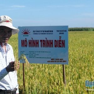 Quảng Ngãi – Hội thảo tổng kết mô hình trình diễn phân bón Mặt Trời Mới