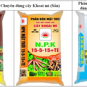 KẾT QUẢ TRỒNG SẮN THÂM CANH VỚI PHÂN BÓN CHUYÊN DÙNG NPK MẶT TRỜI MỚI TẠI KRÔNG PA – GIA LAI, PHÙ CÁT – BÌNH ĐỊNH VÀ SƠN TỊNH – QUẢNG NGÃI