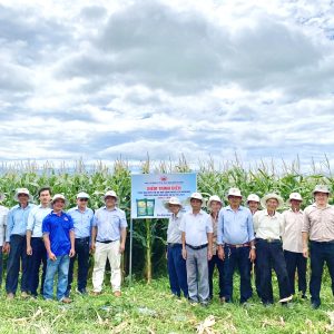 MÔ HÌNH XÁC ĐỊNH HIỆU QUẢ CỦA CHẾ PHẨM NANO TRÊN PHÂN BÓN NPK ĐẾN SINH TRƯỞNG, PHÁT TRIỂN VÀ HIỆU QUẢ KINH TẾ TRÊN CÂY NGÔ SINH KHỐI TRONG VỤ HÈ THU 2023 TẠI XÃ BÌNH NGHI, HUYỆN TÂY SƠN, TỈNH BÌNH ĐỊNH