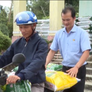 Đảm bảo cung ứng đủ phân bón Mặt Trời Mới vụ Đông Xuân 2023 – 2024 tại Quảng Nam