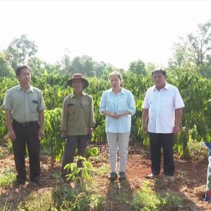 ♻♻♻  Mặt Trời Mới cùng nhà nông làm giàu – Kỹ thuật chăm sóc cây cà phê mùa khô