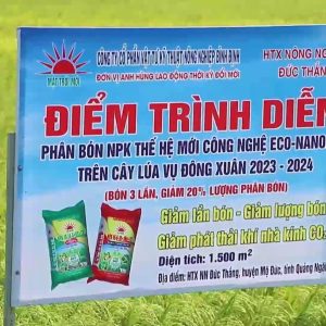 Nông dân thời hội nhập – Kỹ thuật canh tác giúp giảm 20% lượng phân bón trên cây lúa