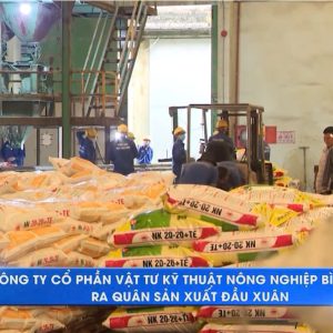 Công ty CP Vật tư Kỹ thuật Nông nghiệp Bình Định ra quân sản xuất đầu năm mới Ất Tỵ 2025