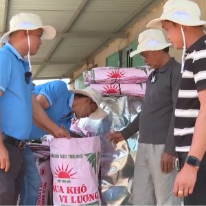 NPK Mặt Trời Mới giúp tối ưu hiệu quả chăm sóc cây trồng nhờ ứng dụng khoa học công nghệ