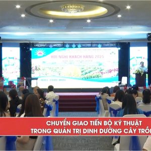 Chuyển giao tiến bộ kỹ thuật trong quản trị dinh dưỡng cây trồng