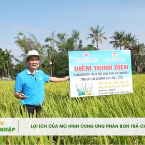 Lợi ích của mô hình cung ứng phân bón trả chậm