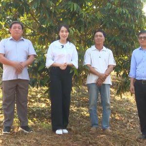 Chăm sóc sầu riêng giai đoạn ra hoa đậu trái