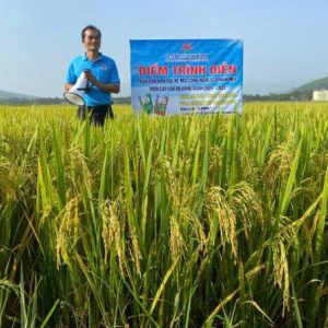 💥Phân bón NPK Mặt Trời Mới công nghệ Eco-Nanomix: Giải pháp hiệu quả cho sản xuất lúa bền vững tại tỉnh Quảng Ngãi