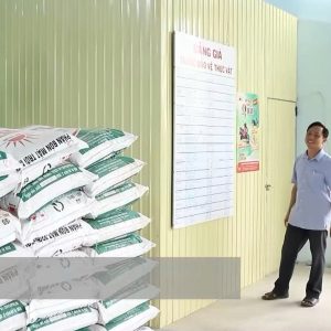 💥🌾 NPK Mặt Trời Mới – Hiệu quả kép cho nông dân Quảng Ngãi