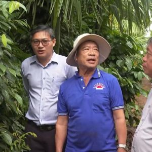 🌞 NPK Mặt Trời Mới – Bí quyết giúp hồ tiêu to nhân, chắc hạt! 🌱